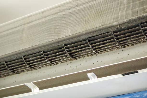Affordable HVAC Duct Cleaning in Donalsonville, GA